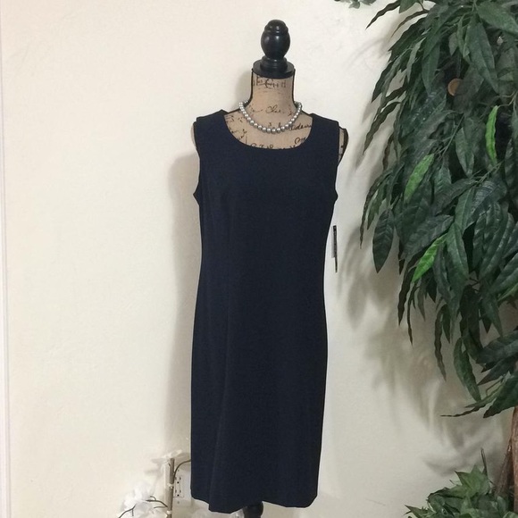 Briggs New York Dresses & Skirts - NWT Briggs New York Dress